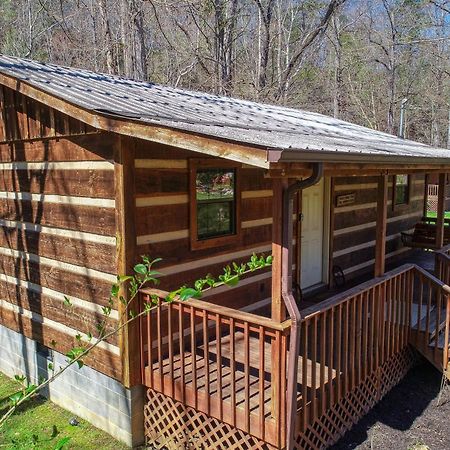Creekside Memories Cabin Cosby Exteriér fotografie